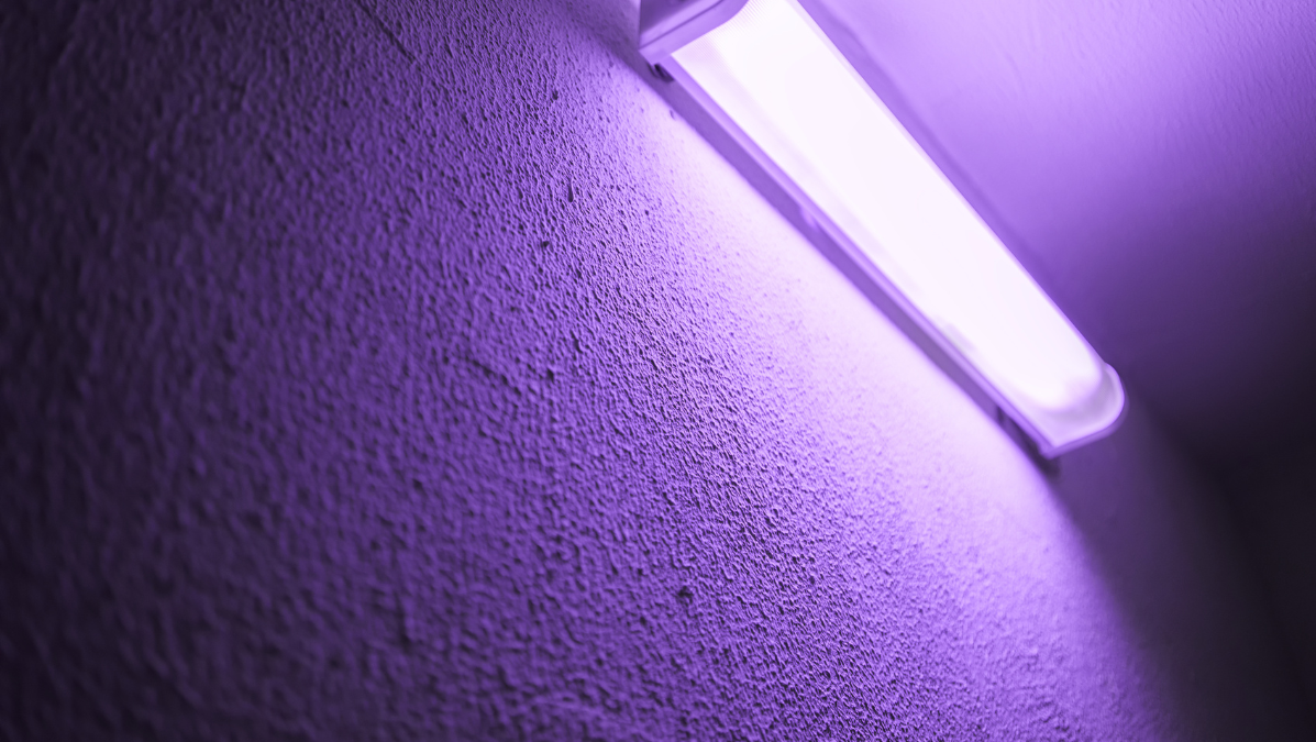 Zdjęcie przedstawiające lampy UV używane w medycynie do sterylizacji narzędzi, emitujące charakterystyczne, niebieskie światło, symbolizujące działanie promieniowania ultrafioletowego.