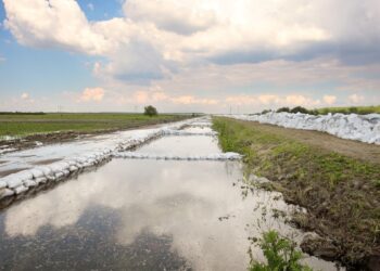 Wrocław przygotowuje się na wysoką wodę. Intensywne działania na Bystrzycy