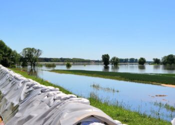 Fala kulminacyjna na Bystrzycy. Wrocław w gotowości